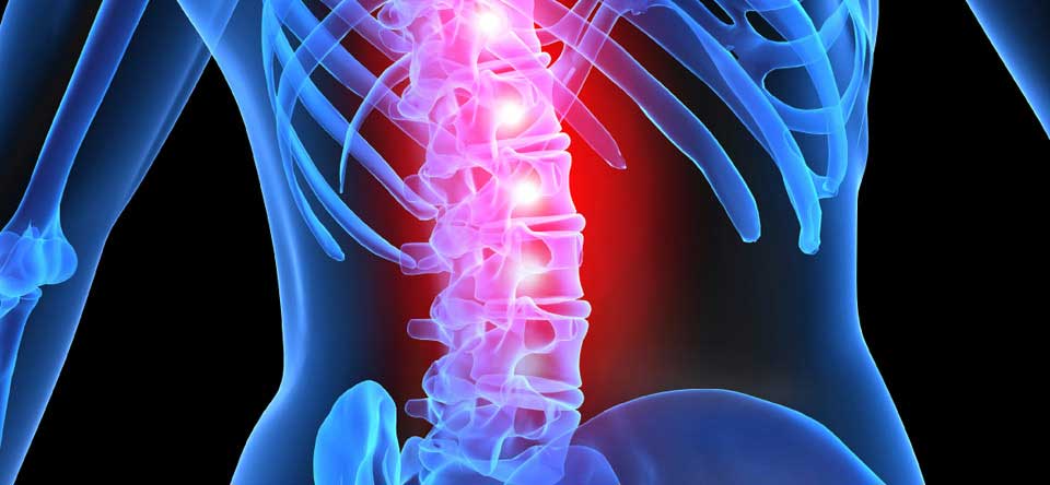 Knowledge resources in spinal injuries grow