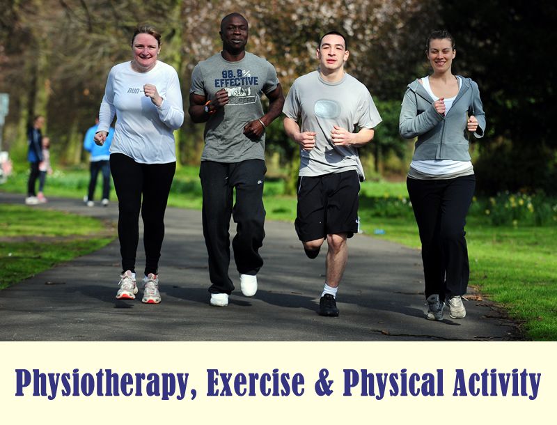 Physiotherapy, Exercise and Physical Activity Online Course